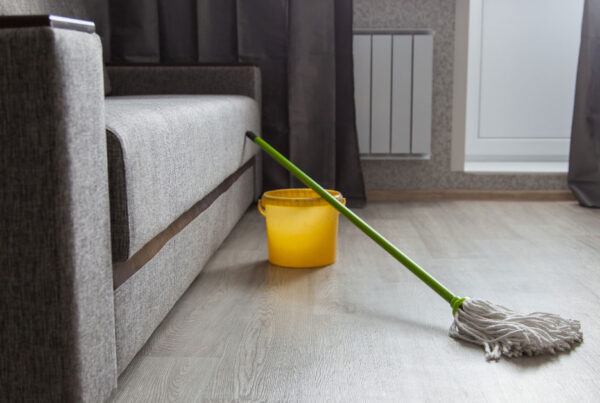 Living room with grey wood flooring and mop and bucket